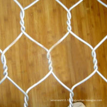 Anping Tianyue Filetage à fil hexagonal galvanisé à chaud (TYE-05)